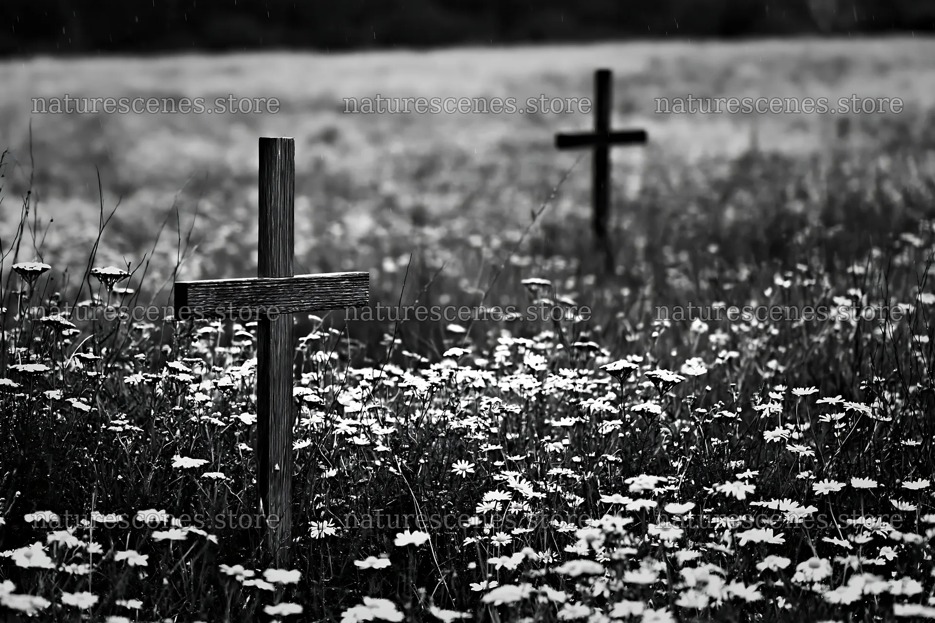 Christian crosses in a rain-soaked meadow with flowers – nature scenes 9722x6480