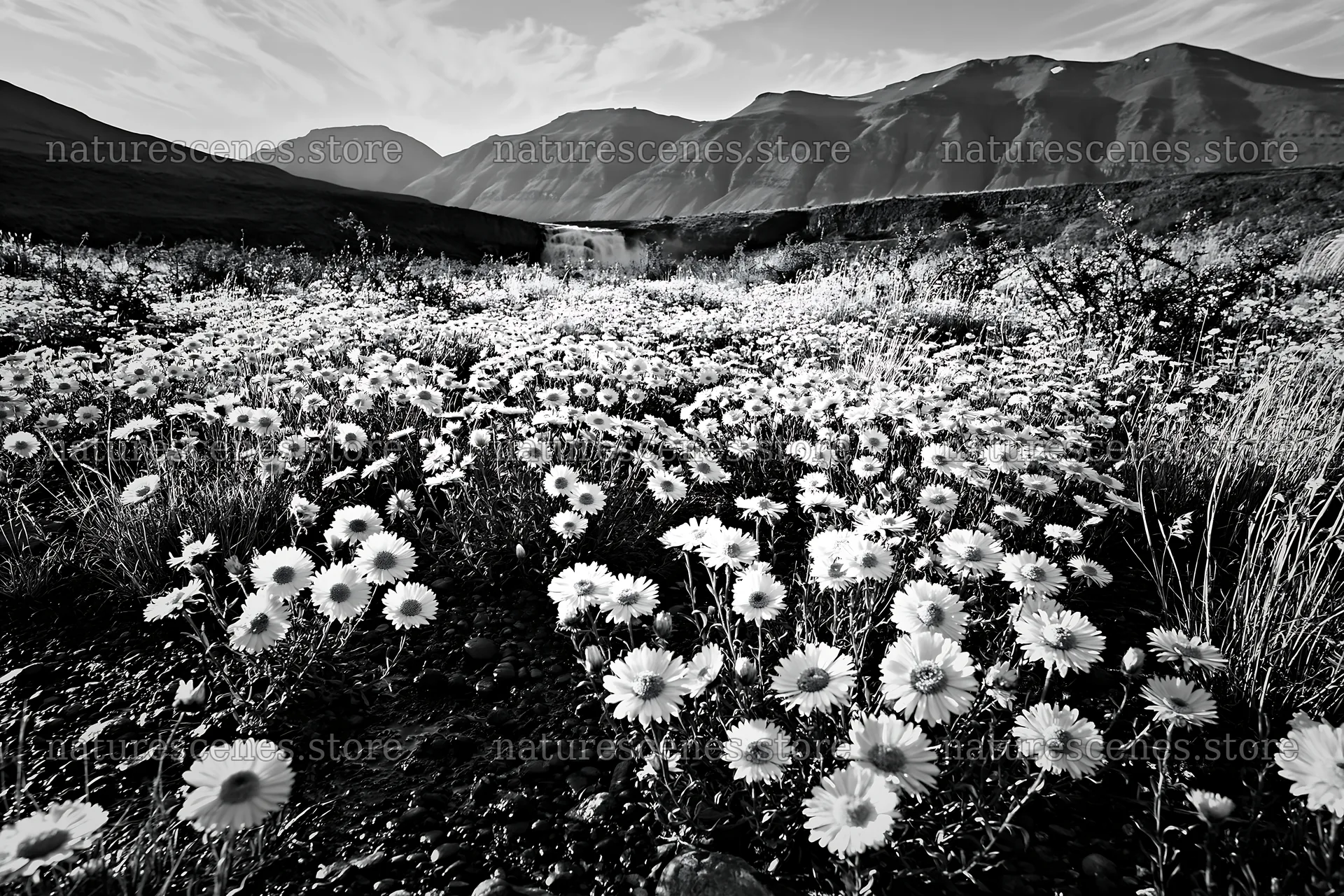 Flower meadow below a cascade with mountains in background – nature scenes 9722x6480
