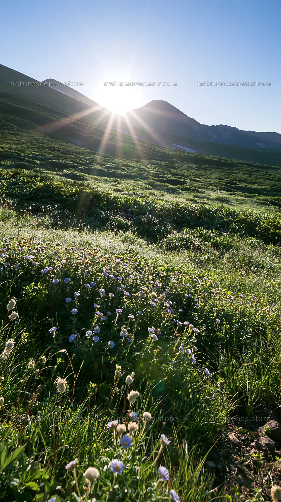 Daisetsuzan alpine meadow with sunlight shining through mountains – nature scenes 5938x10608