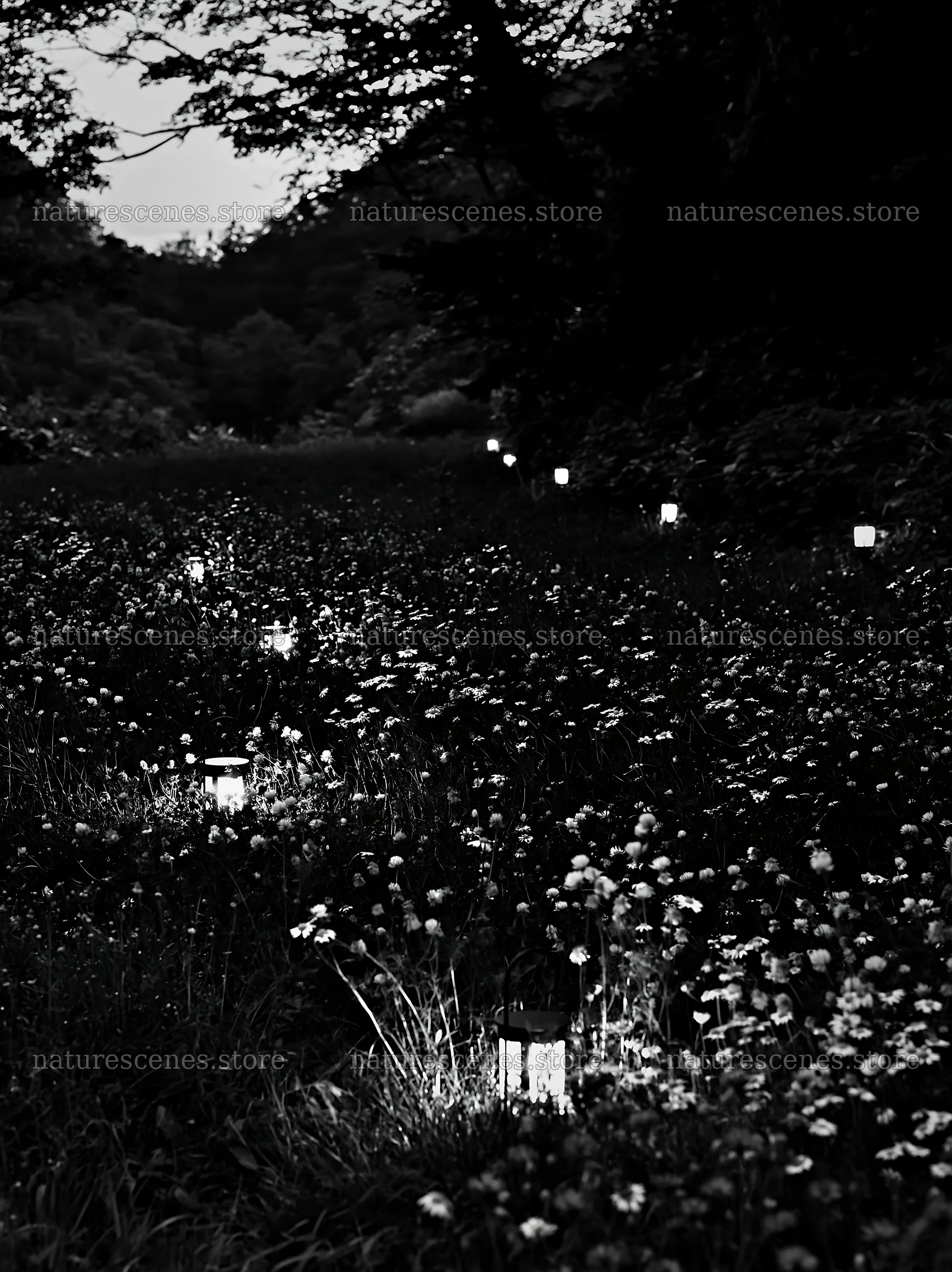 Christmas lights in meadow near cave at dusk – nature scenes 6866x9174