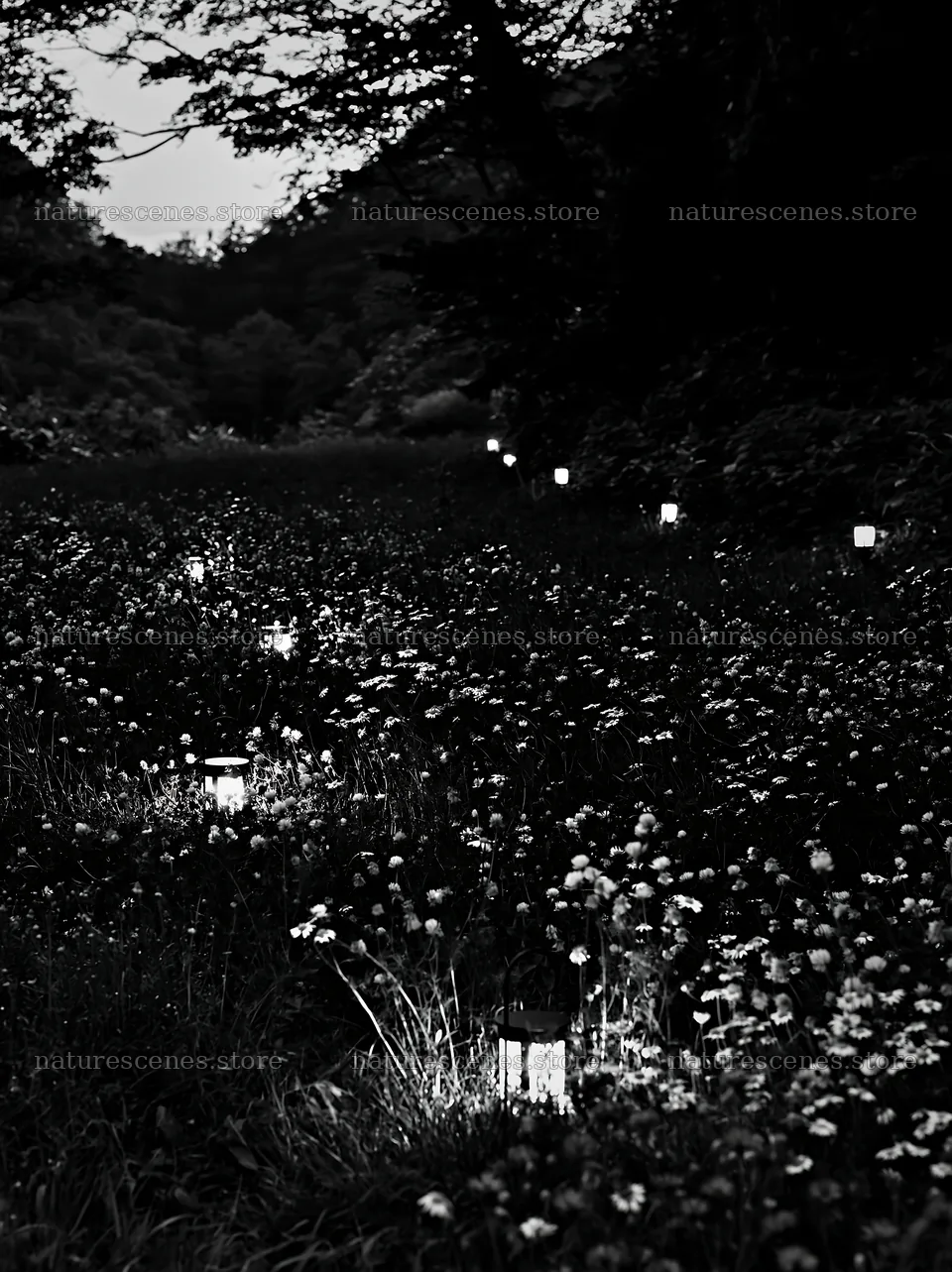 Christmas lights in meadow near cave at dusk – nature scenes 6866x9174