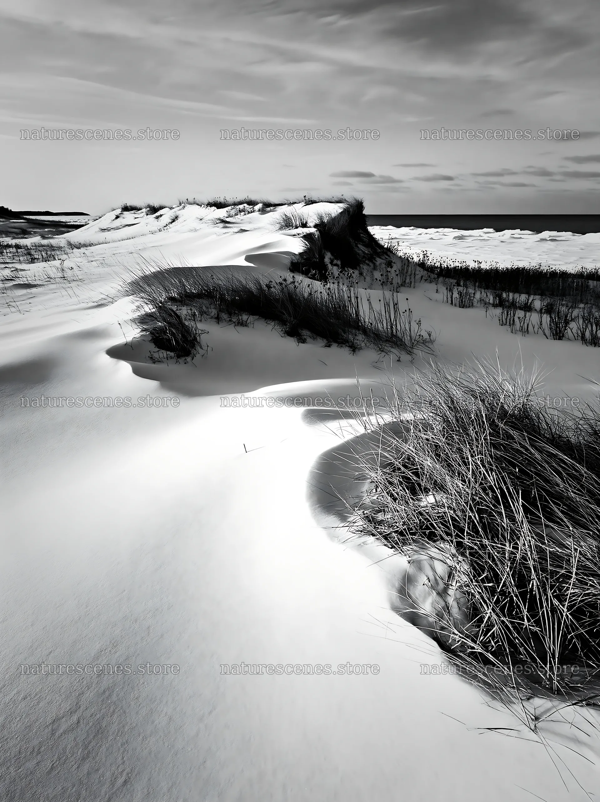 Dune meadow covered with snow near the shore – nature scenes 6866x9174