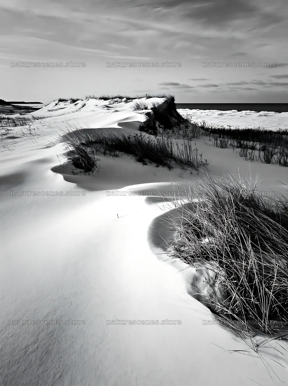 Dune meadow covered with snow near the shore – nature scenes 6866x9174