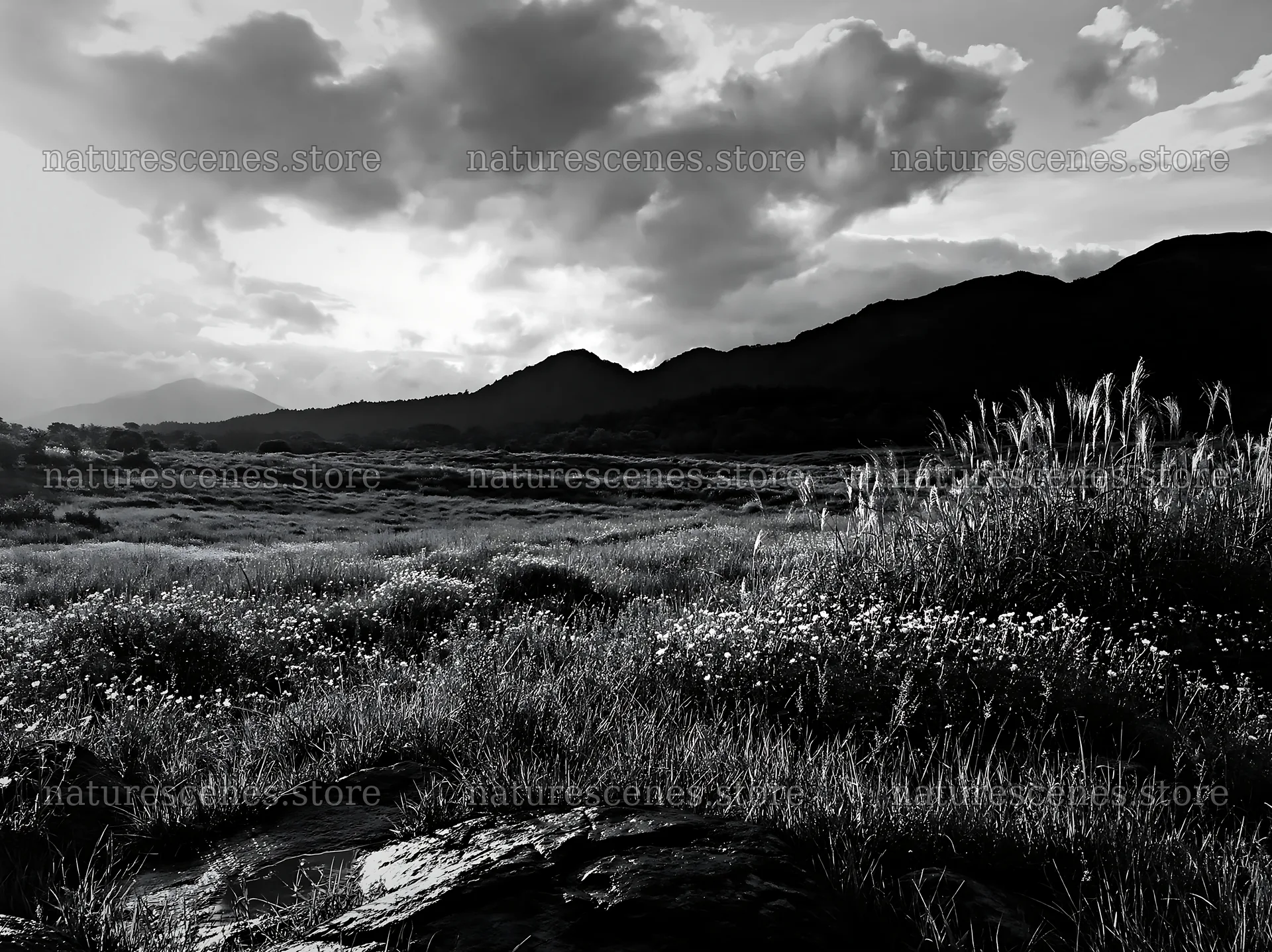 Yamanashi regenerative meadow with basalt stones in the evening – nature scenes 9174x6866