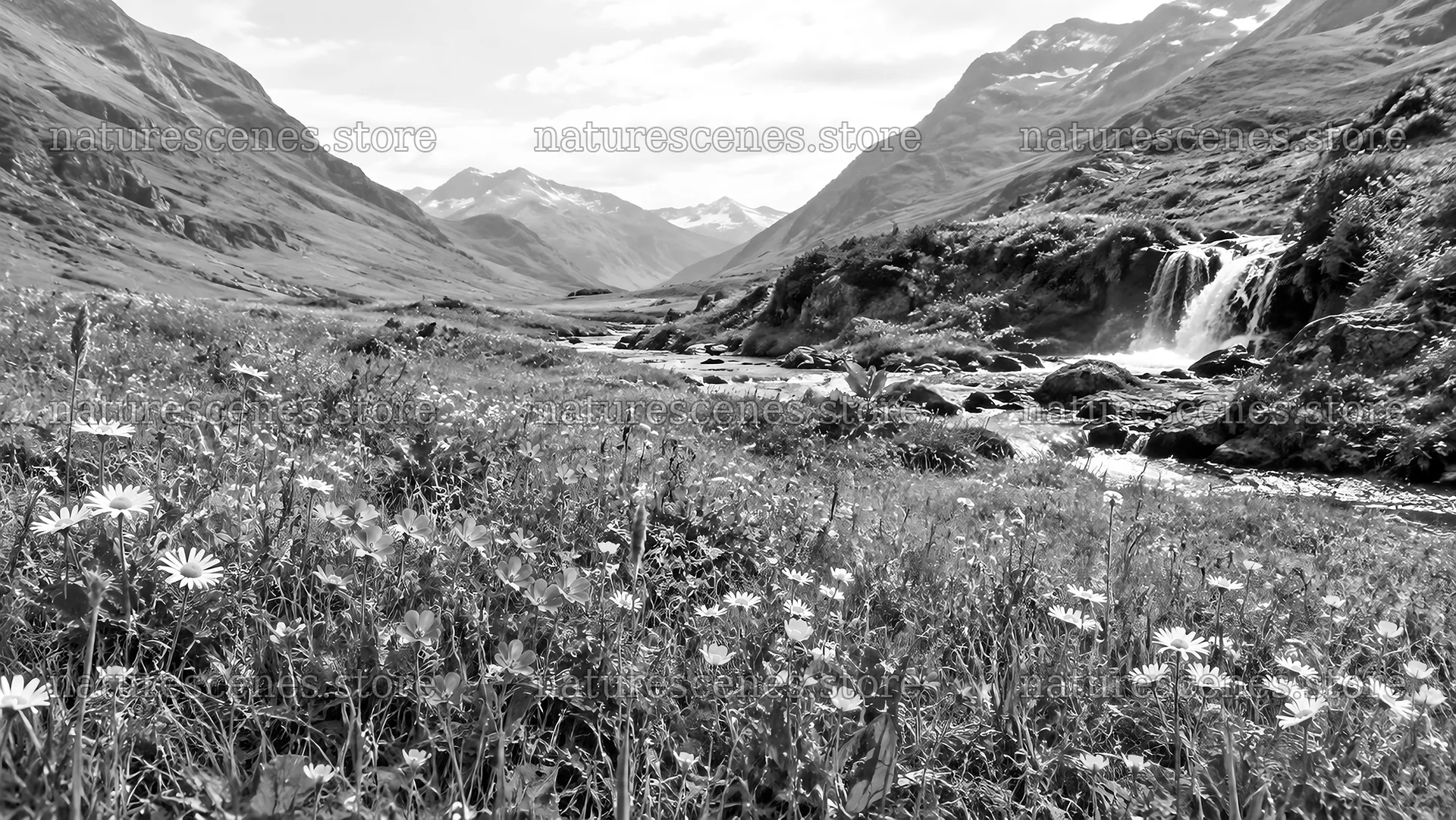 Wildflower Meadow and Mountain Stream in Monochrome – nature scenes 10324x5812