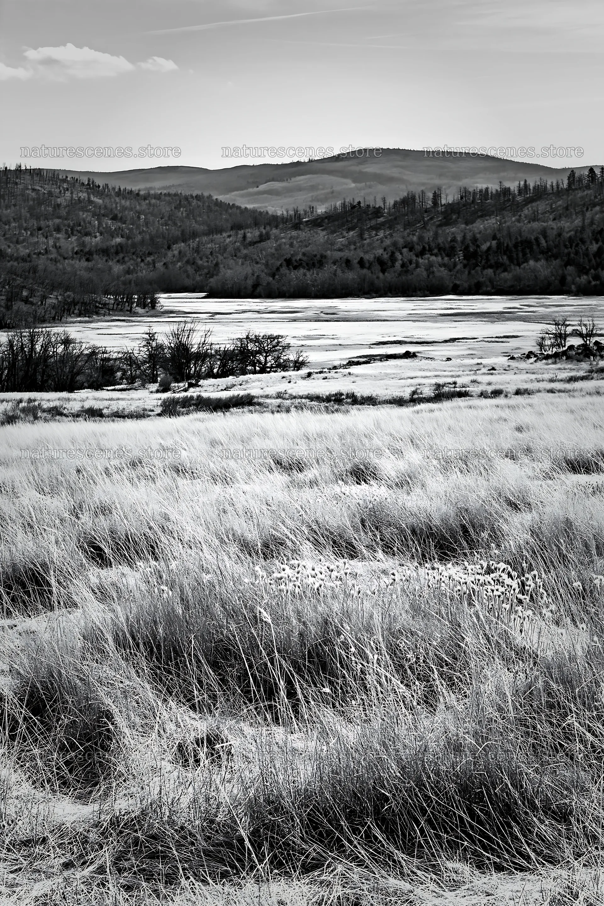Sunny dry meadow with distant hills and a river – nature scenes 6480x9722