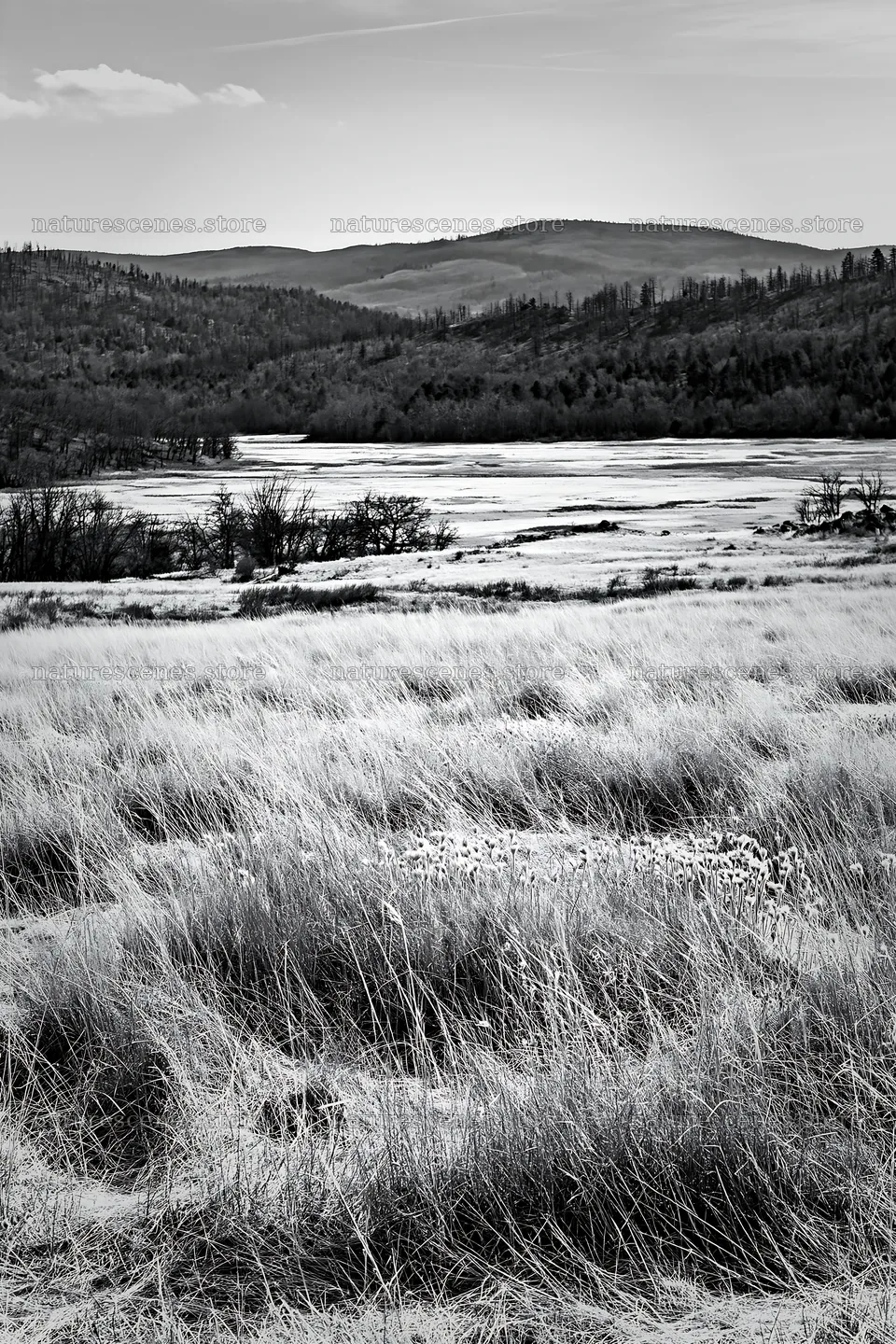 Sunny dry meadow with distant hills and a river – nature scenes 6480x9722