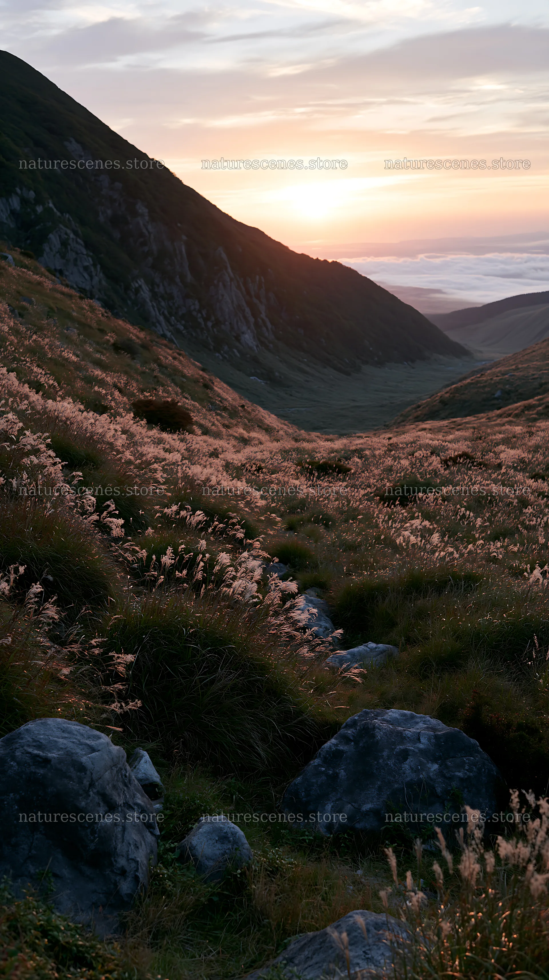 Oita highland meadow with granite stones at sunset – nature scenes 5938x10608