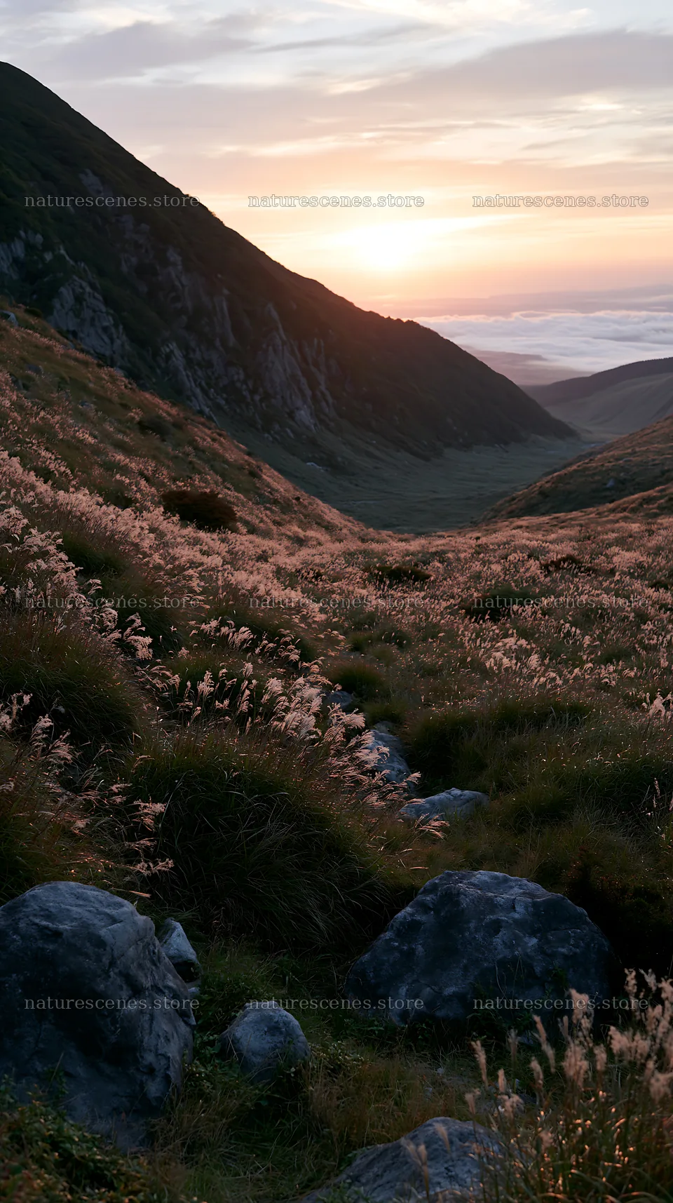 Oita highland meadow with granite stones at sunset – nature scenes 5938x10608
