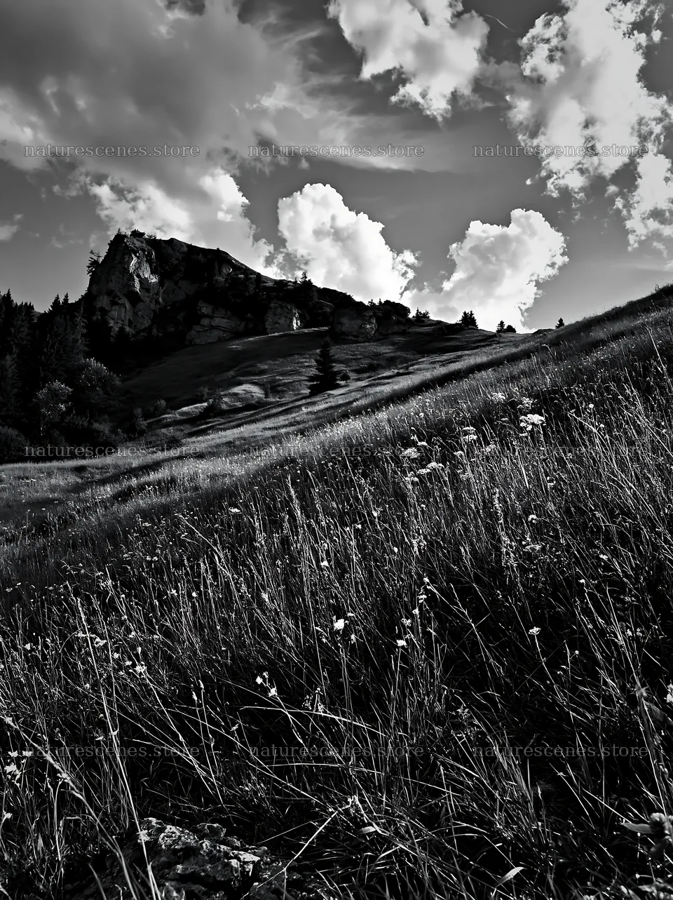 Summer meadows in Transylvania with hills and clouds – nature scenes 6866x9174