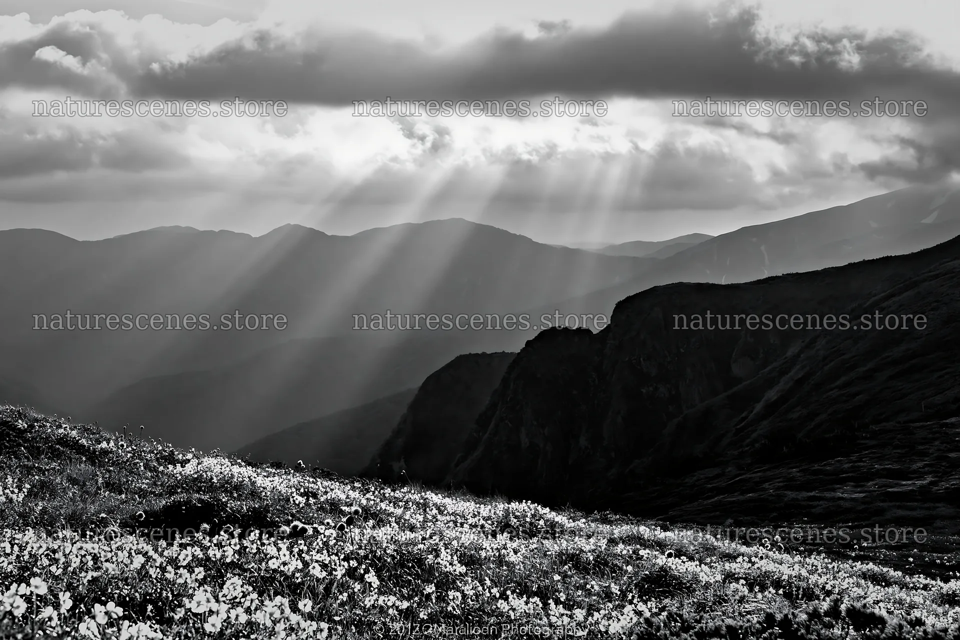 Daisetsuzan alpine meadow with light rays and mountains – nature scenes 9722x6480