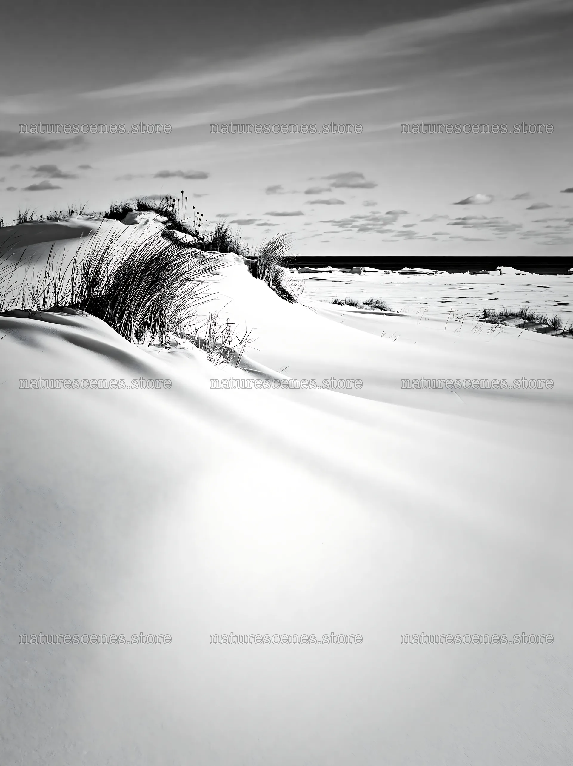 Dune meadow covered in snow by the ocean shore – nature scenes 6866x9174