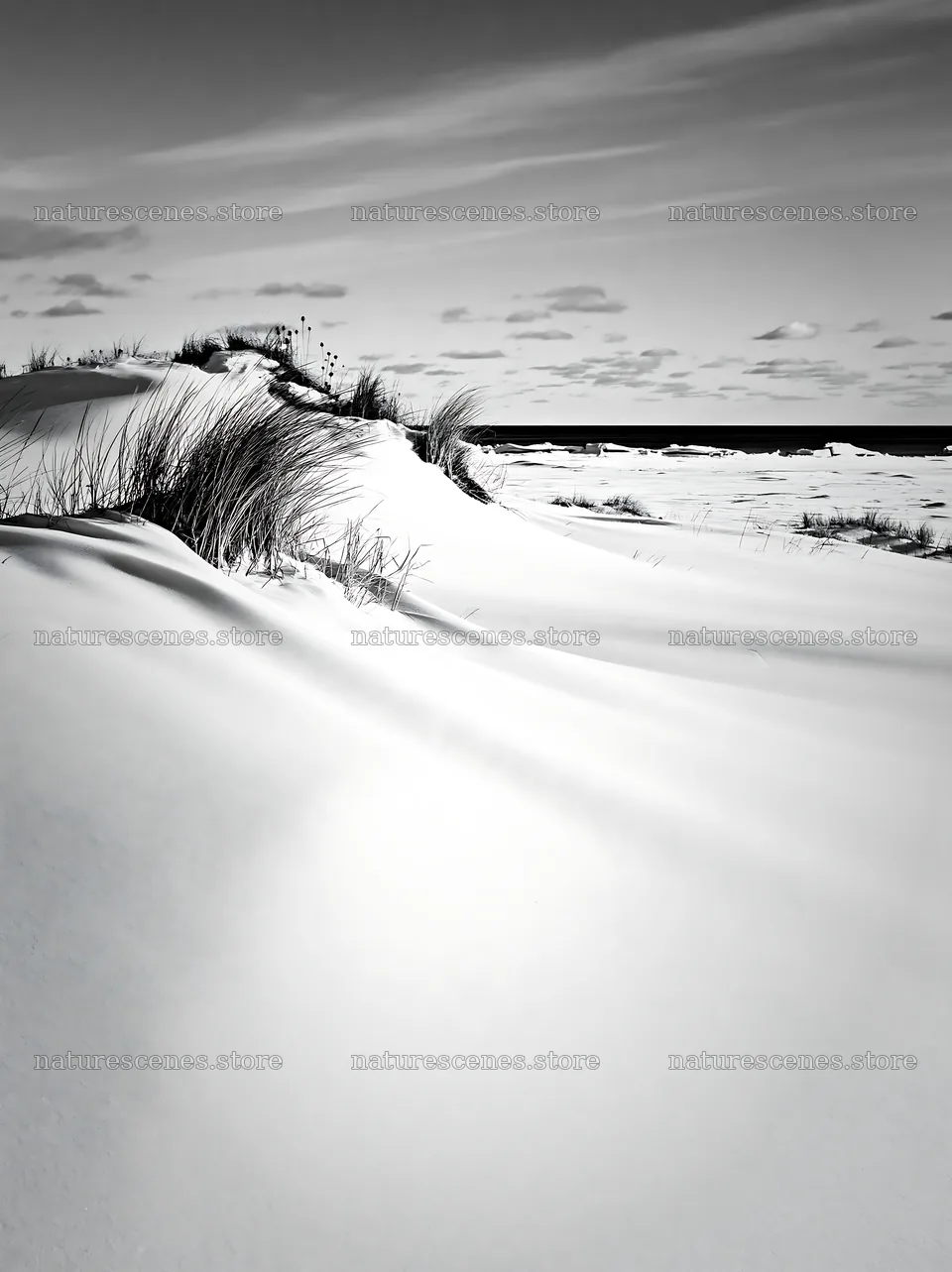 Dune meadow covered in snow by the ocean shore – nature scenes 6866x9174