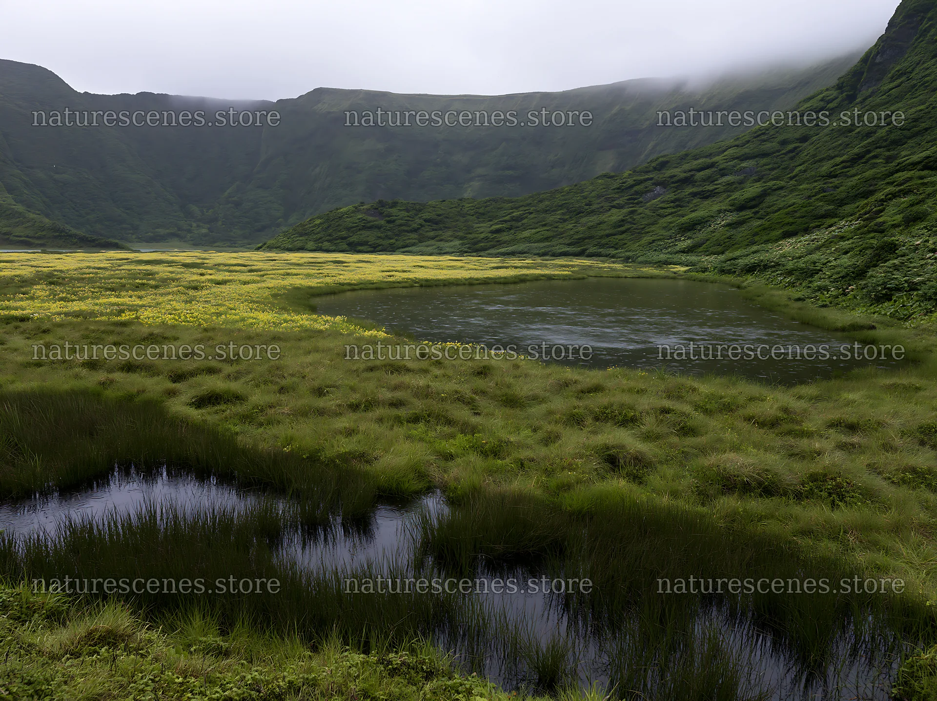 Dewy meadow landscape with pond and hills in the background – nature scenes 9174x6866