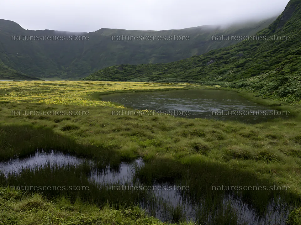 Dewy meadow landscape with pond and hills in the background – nature scenes 9174x6866