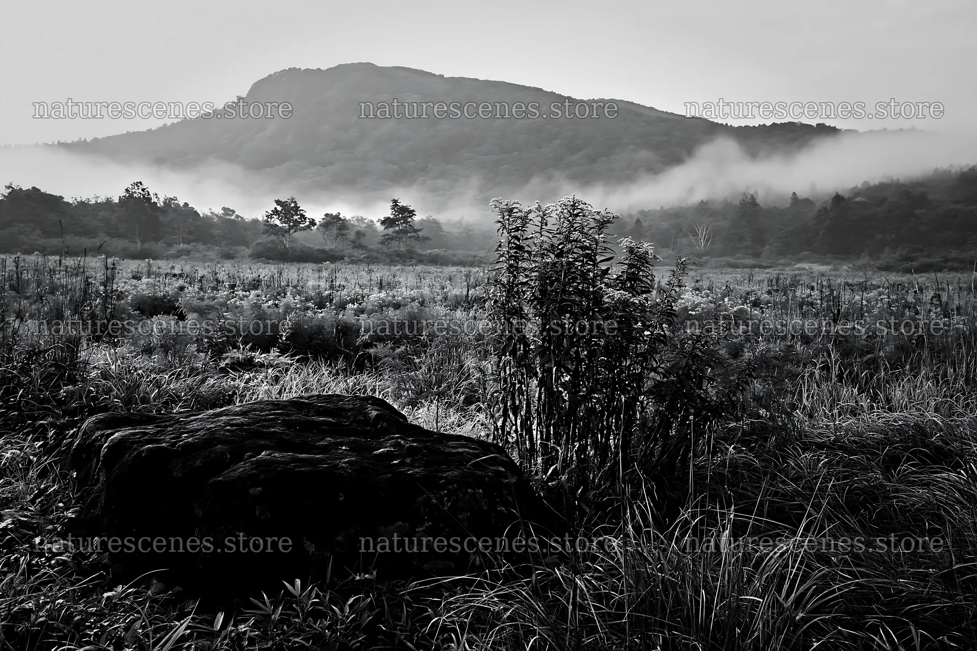 Kumamoto volcanic meadow with dark rock and misty hills – nature scenes 9722x6480