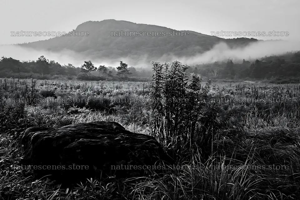 Kumamoto volcanic meadow with dark rock and misty hills – nature scenes 9722x6480