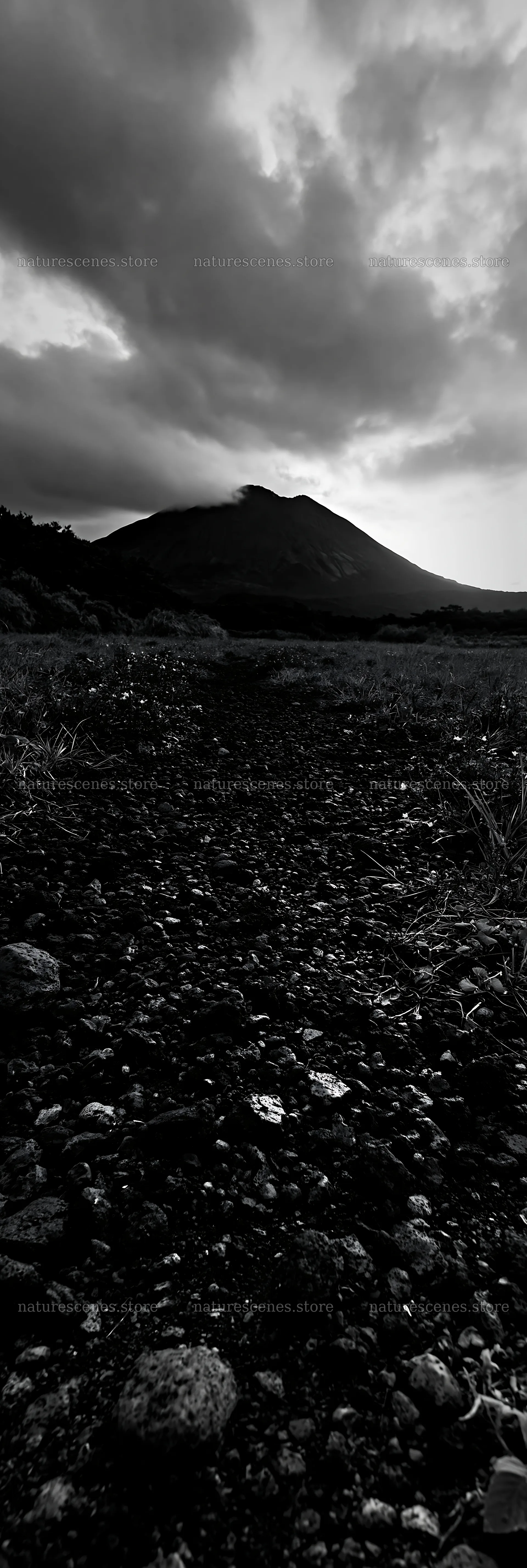 Kagoshima volcanic meadow with pumice foreground – nature scenes 4602x13690