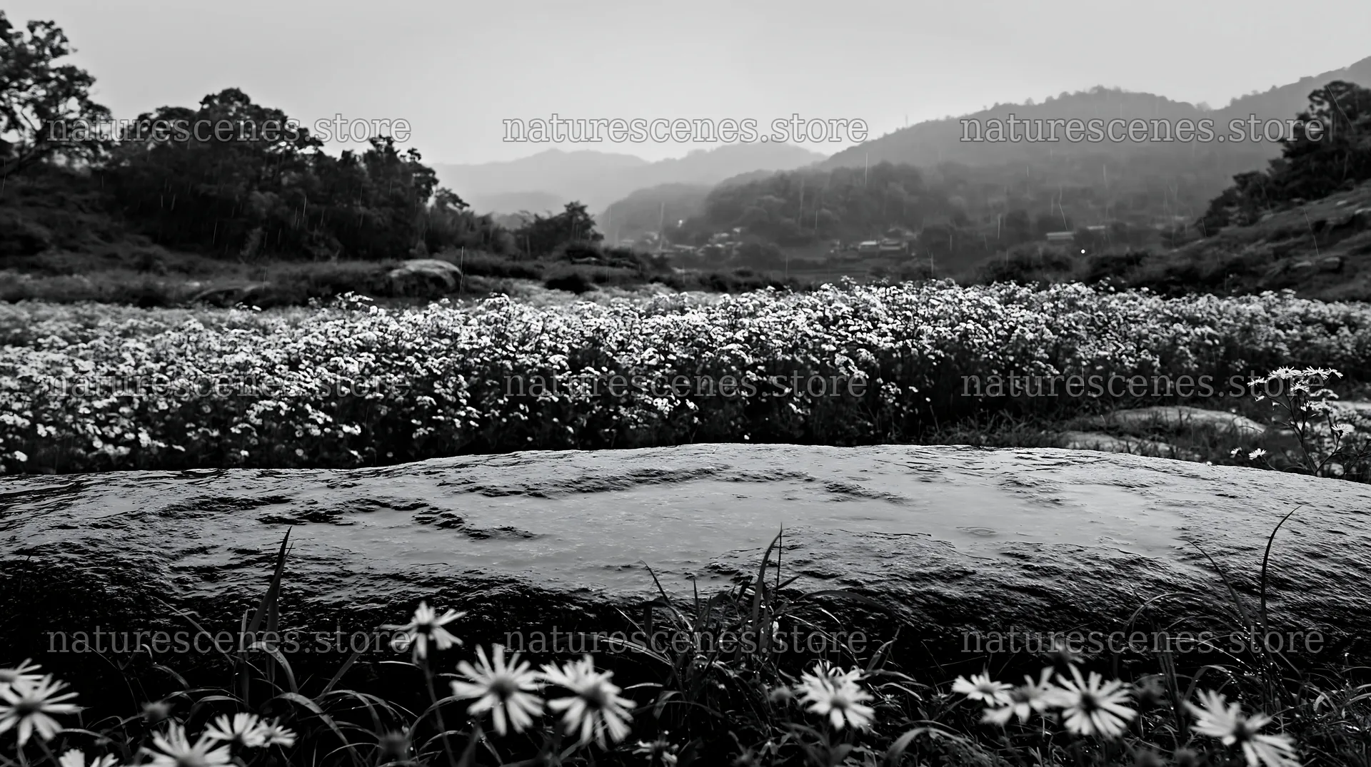 Hiroshima meadow with smooth rock during rainy weather – nature scenes 10608x5938