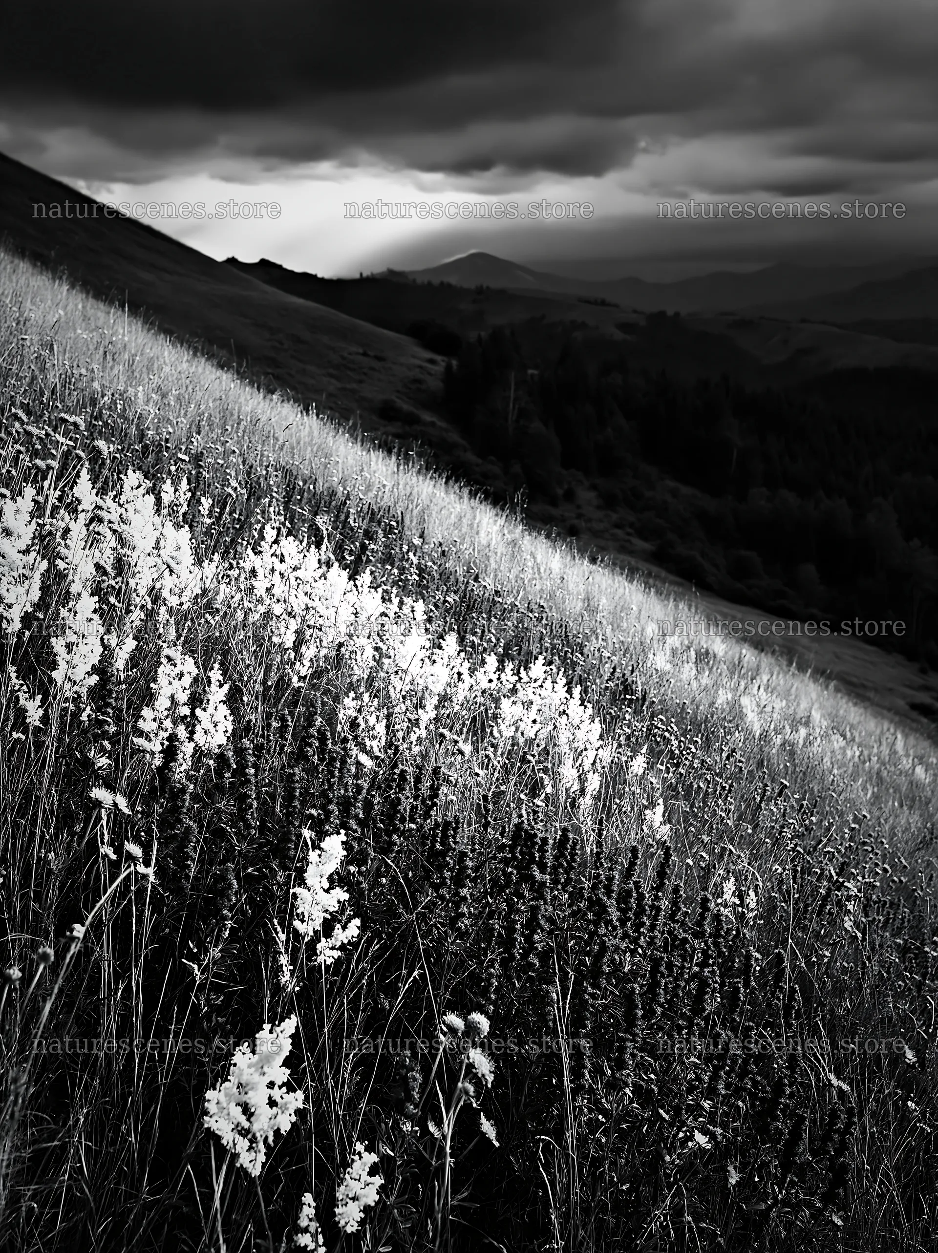 Summer meadows in Transylvania with dark clouds – nature scenes 6866x9174