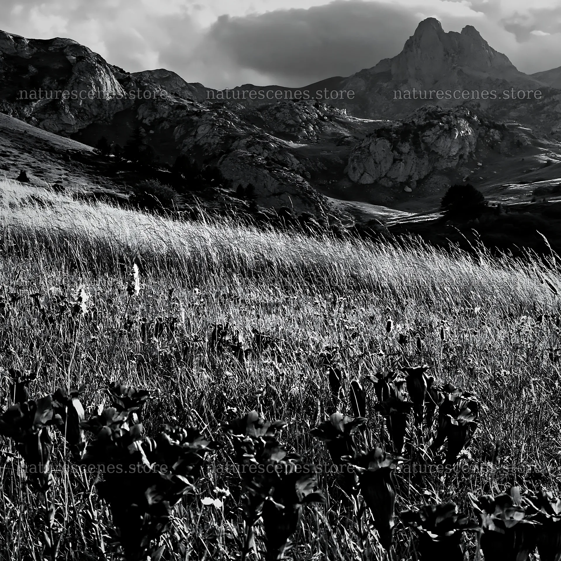 Meadow beneath crags with blue flowers and mountains in background – nature scenes 7938x7938