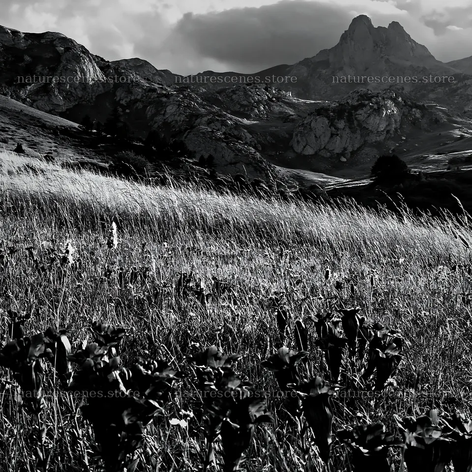 Meadow beneath crags with blue flowers and mountains in background – nature scenes 7938x7938