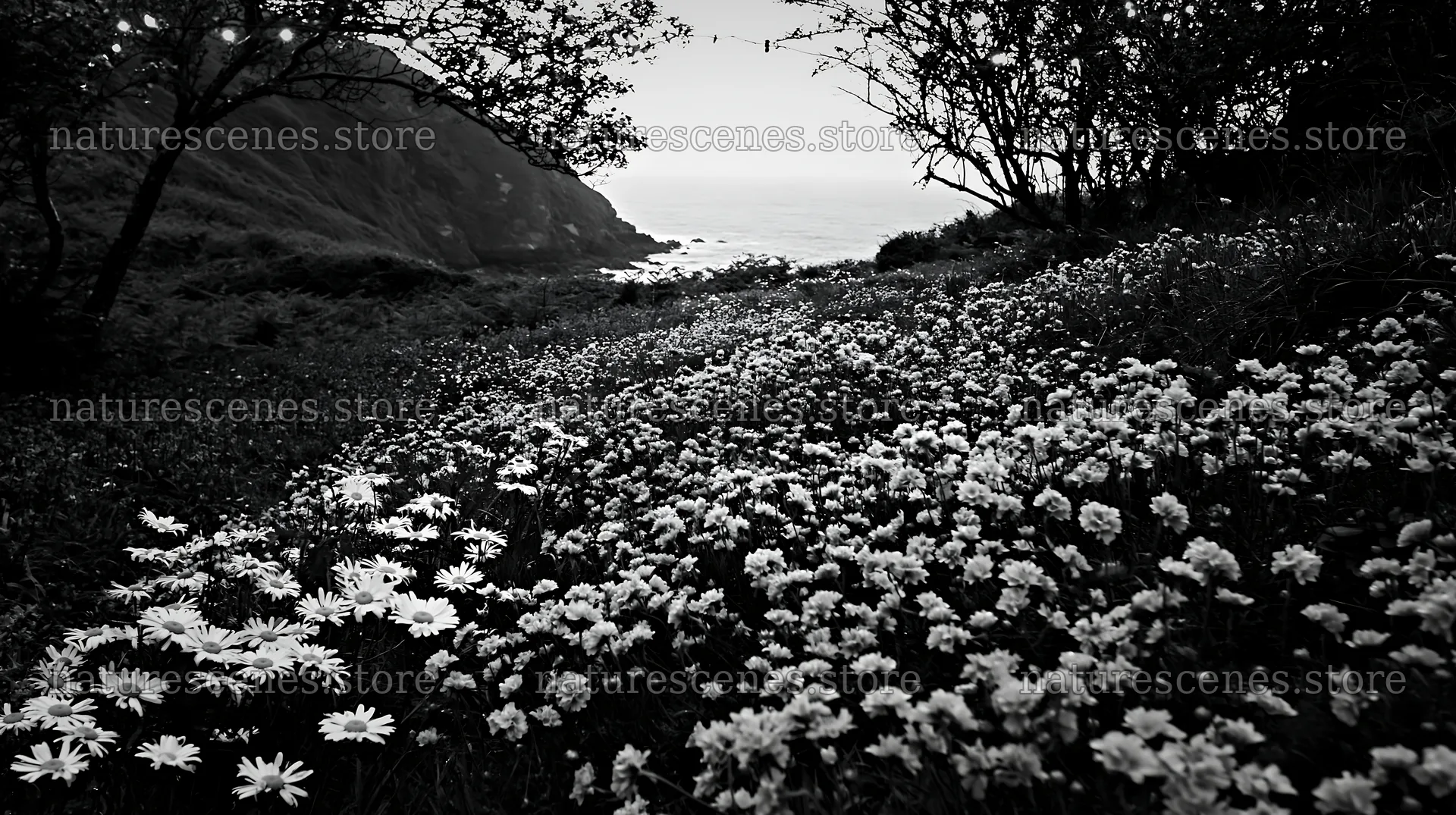 Wide Christmas meadow with native flowers and fairy lights – nature scenes 10608x5938