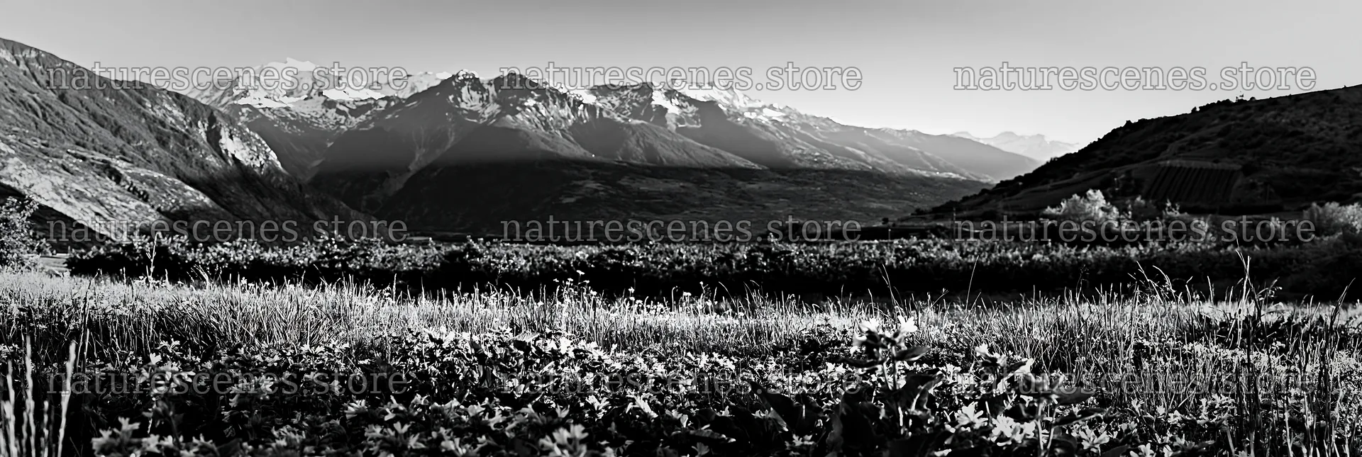 Valley meadow with apple trees and mountain backdrop – nature scenes 13690x4602
