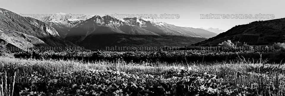 Valley meadow with apple trees and mountain backdrop – nature scenes 13690x4602