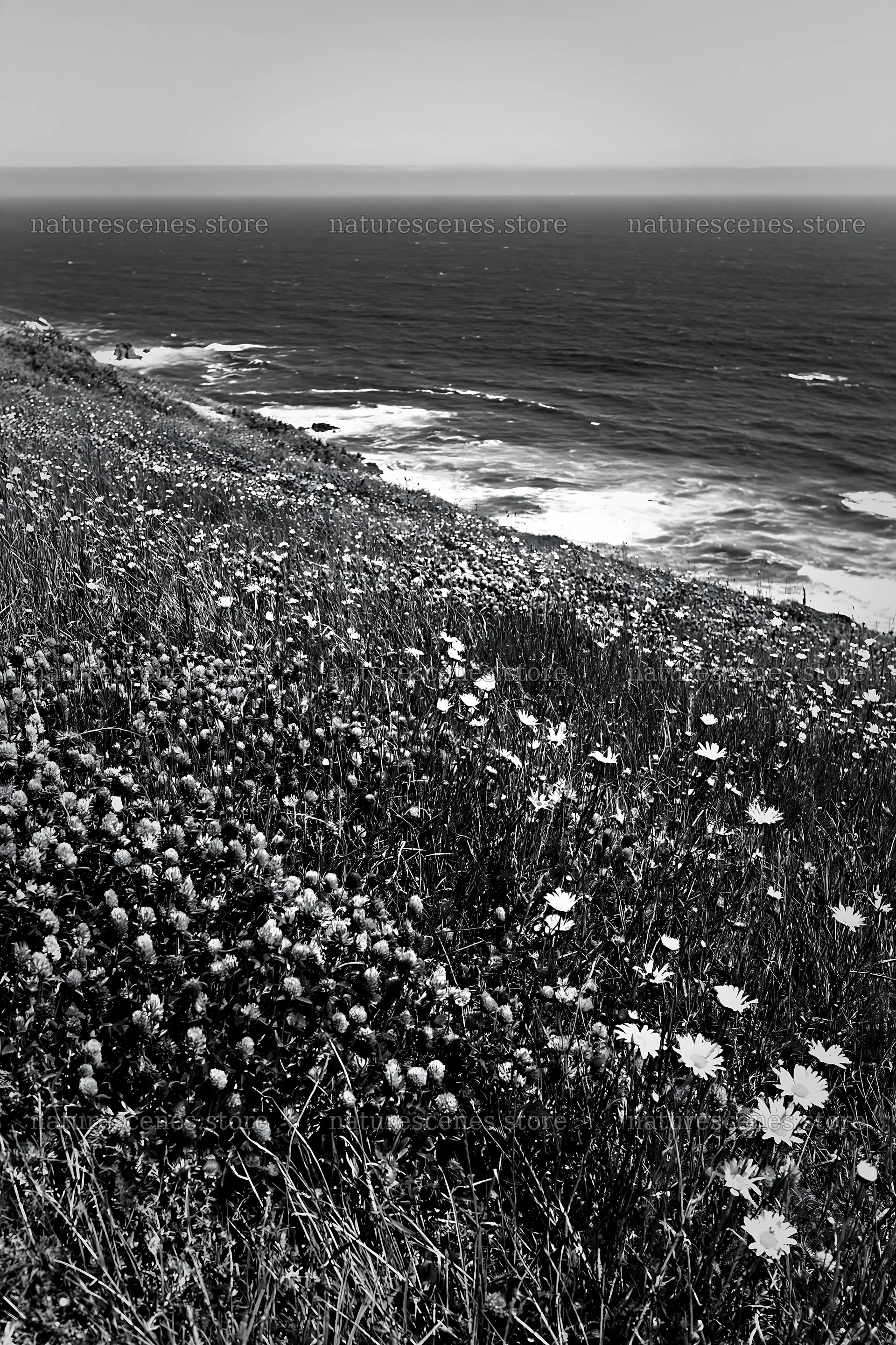 Meadow above Atlantic coast with flowers and waves – nature scenes 6480x9722