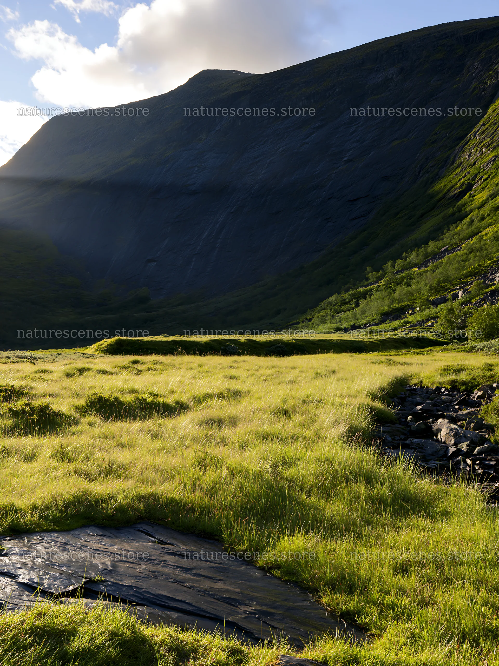 Sunbeams fall on meadow in Jotunheimen valley – nature scenes 6866x9174