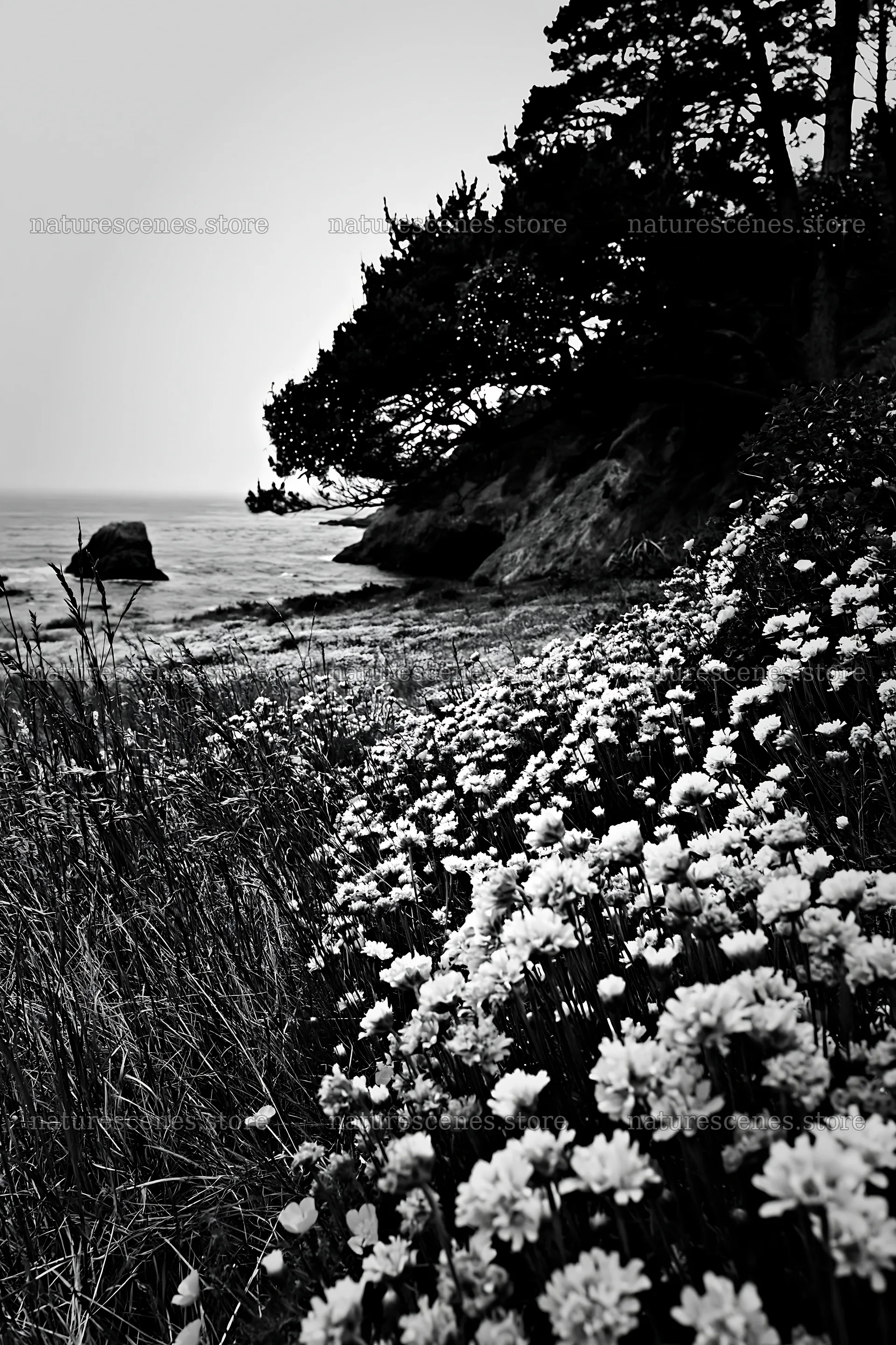 Christmas wreaths in meadow by cave – nature scenes 6480x9722