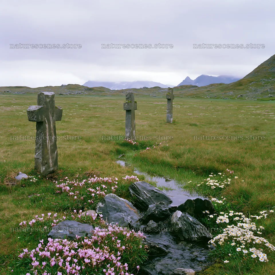 Christian crosses beside mineral spring meadow with flowers – nature scenes 7938x7938