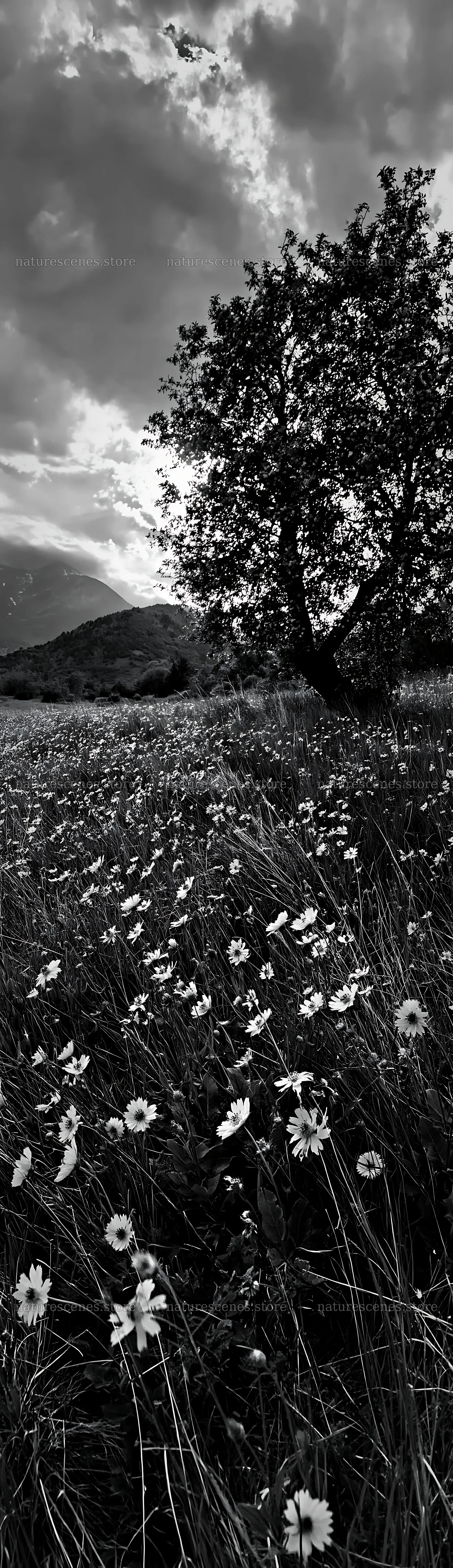 Apple meadow with wildflowers in a valley during the day – nature scenes 4268x14762