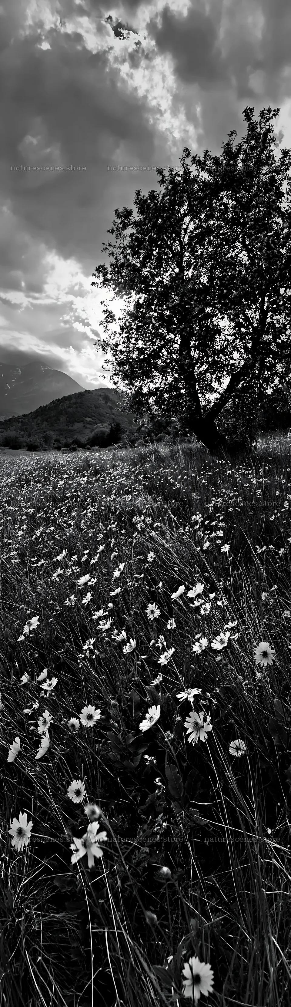 Apple meadow with wildflowers in a valley during the day – nature scenes 4268x14762