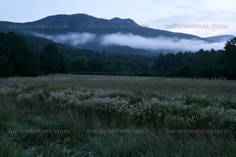 Dewy meadow at dawn near mountain range – nature scenes 9722x6480
