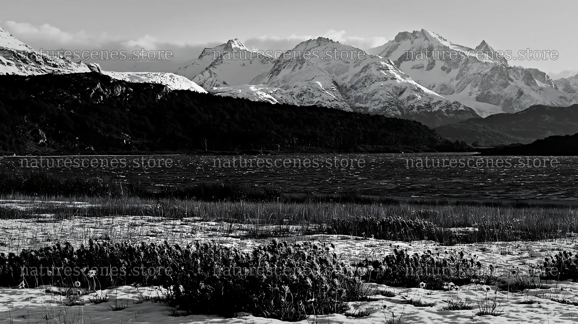 Lakeside meadow after first snowfall with flowers and mountains – nature scenes 10608x5938