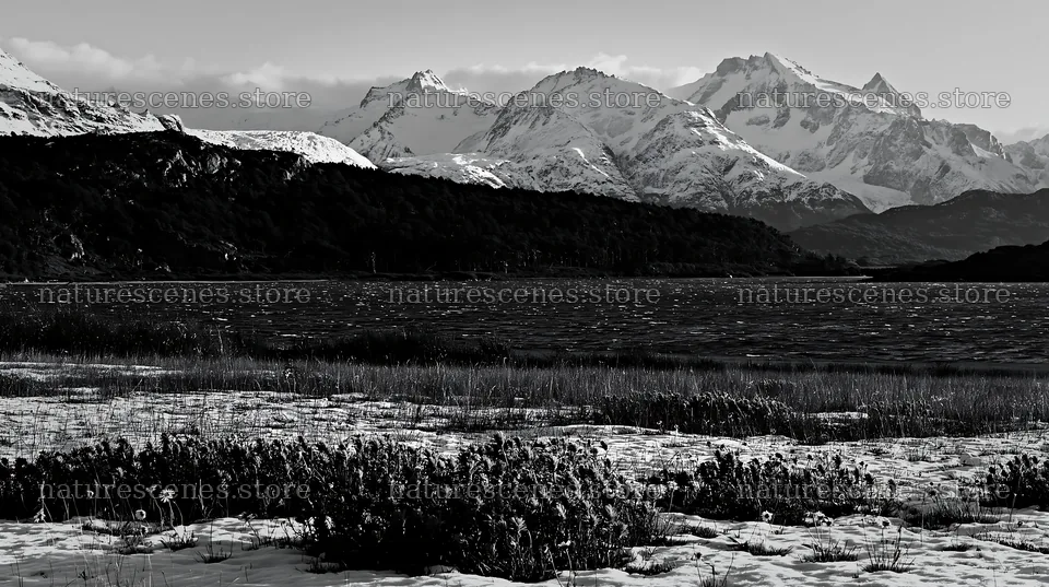 Lakeside meadow after first snowfall with flowers and mountains – nature scenes 10608x5938
