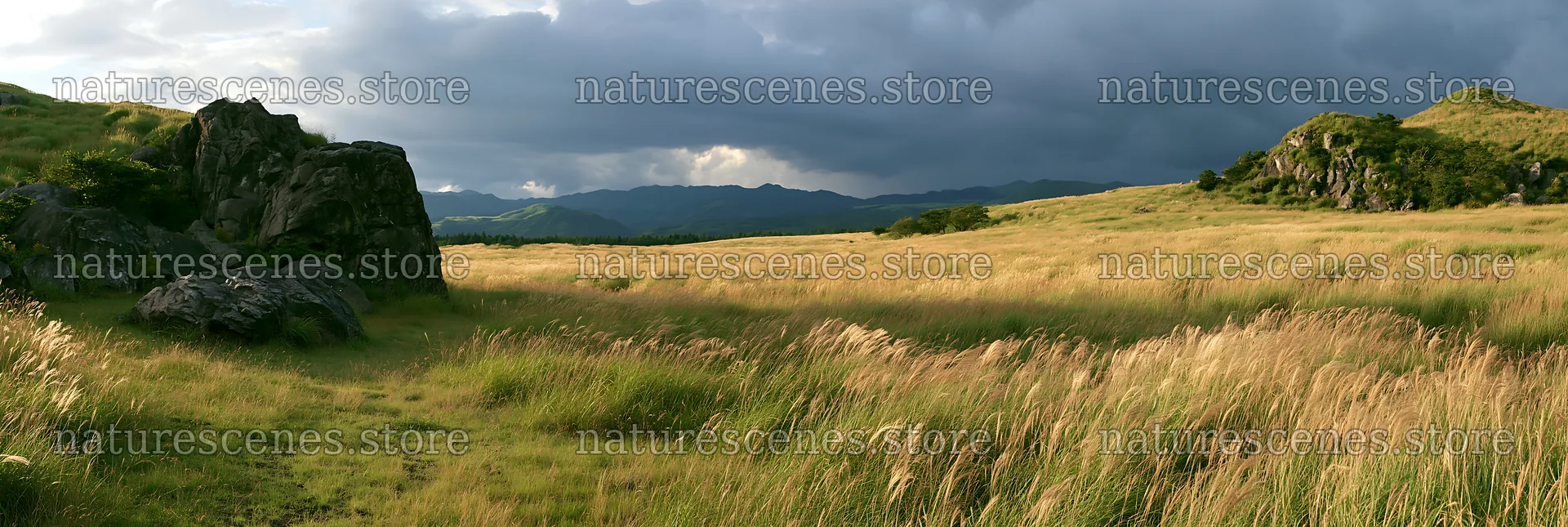 Restored Kumamoto silver grass meadow boulders in a natural setting – nature scenes 13690x4602