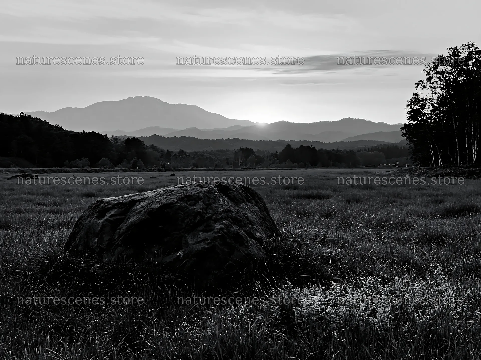 Climate resilient meadow with boulder in Aomori at sunset – nature scenes 9174x6866