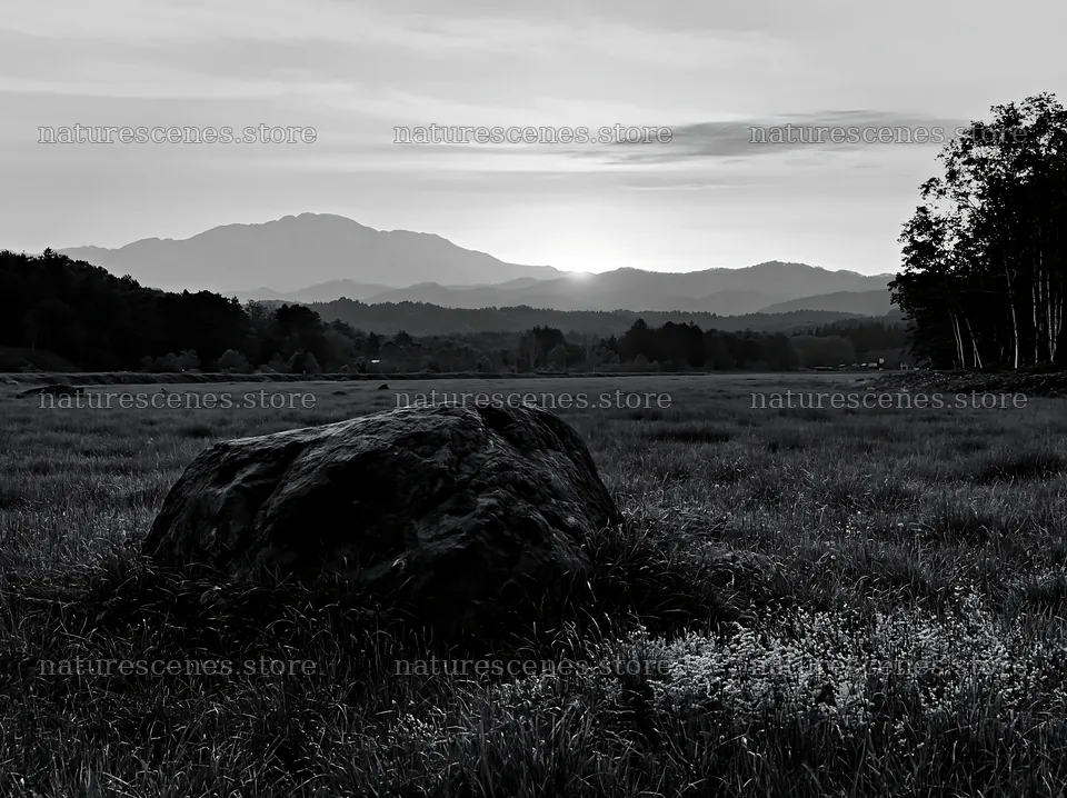 Climate resilient meadow with boulder in Aomori at sunset – nature scenes 9174x6866