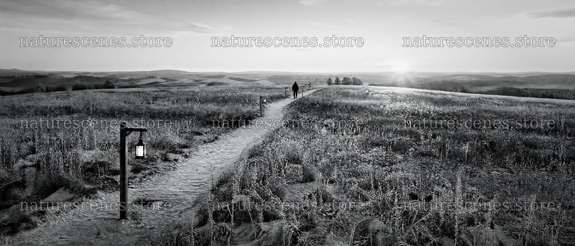 Walking along a meadow path at sunset – nature scenes 12124x5196