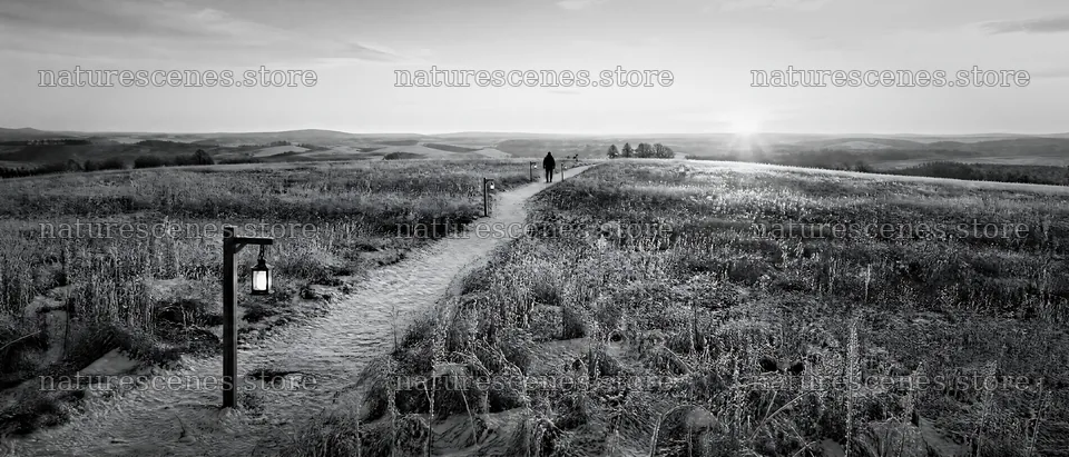 Walking along a meadow path at sunset – nature scenes 12124x5196