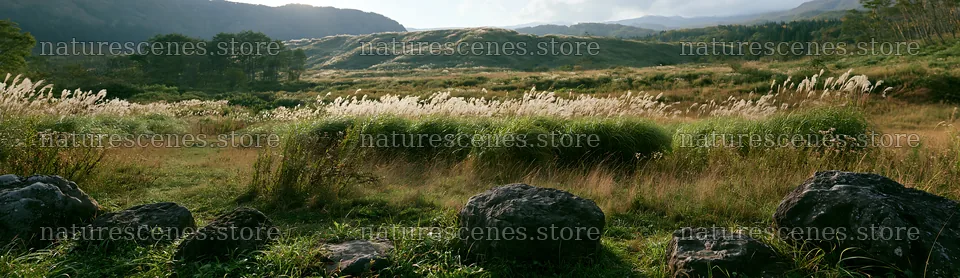Rewilded Akita silver grass meadow with stones and hills – nature scenes 14762x4268