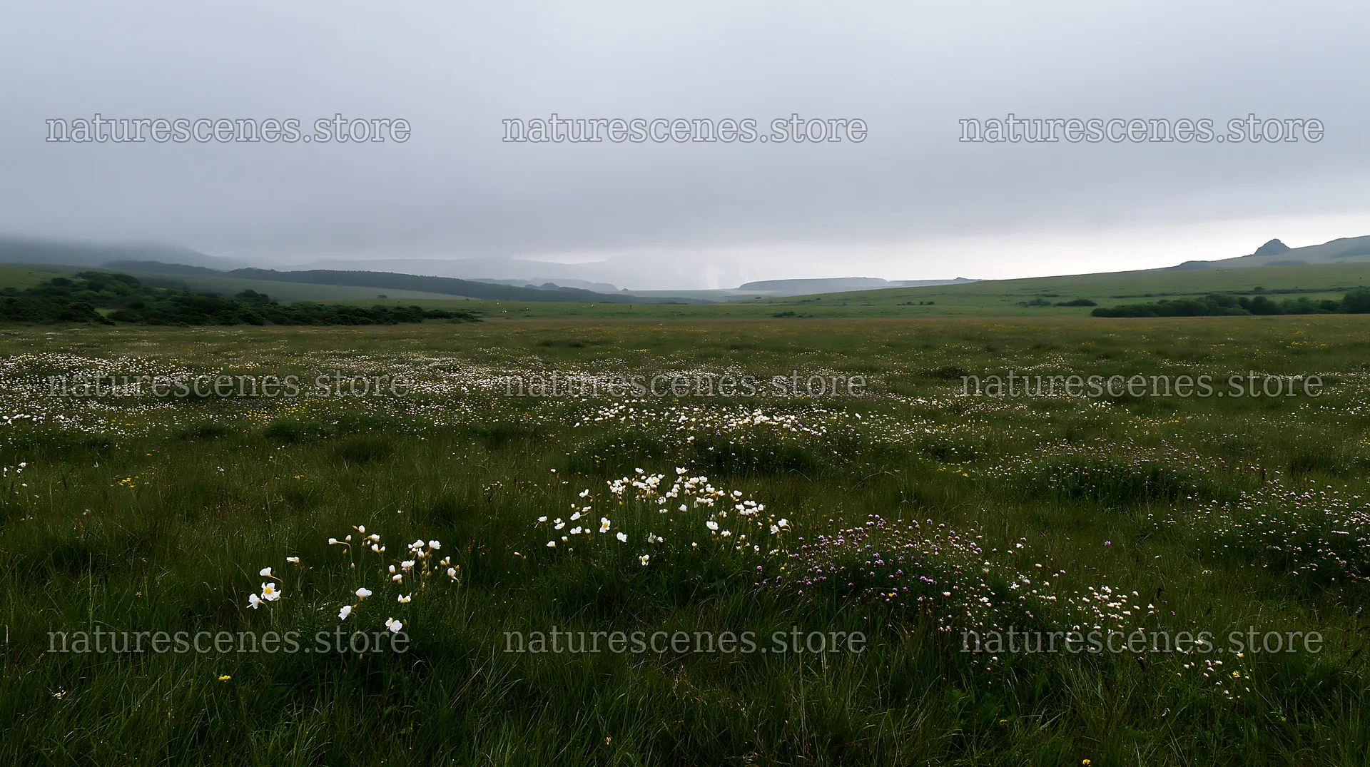 Cloudy limestone wildflower meadow in a natural landscape – nature scenes 10608x5938