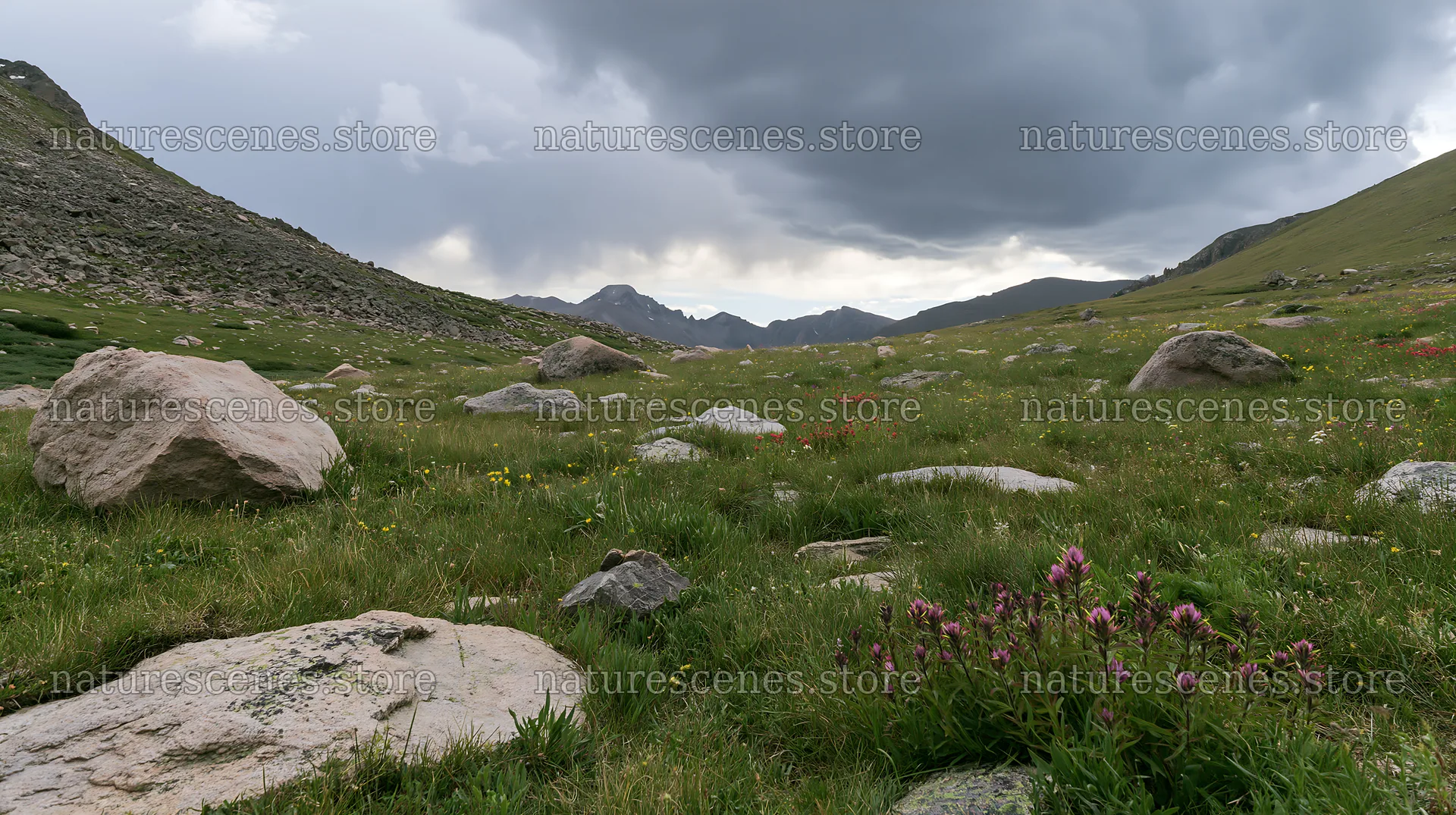 Meadow with boulders under a cloudy sky in mountainous area – nature scenes 10608x5938