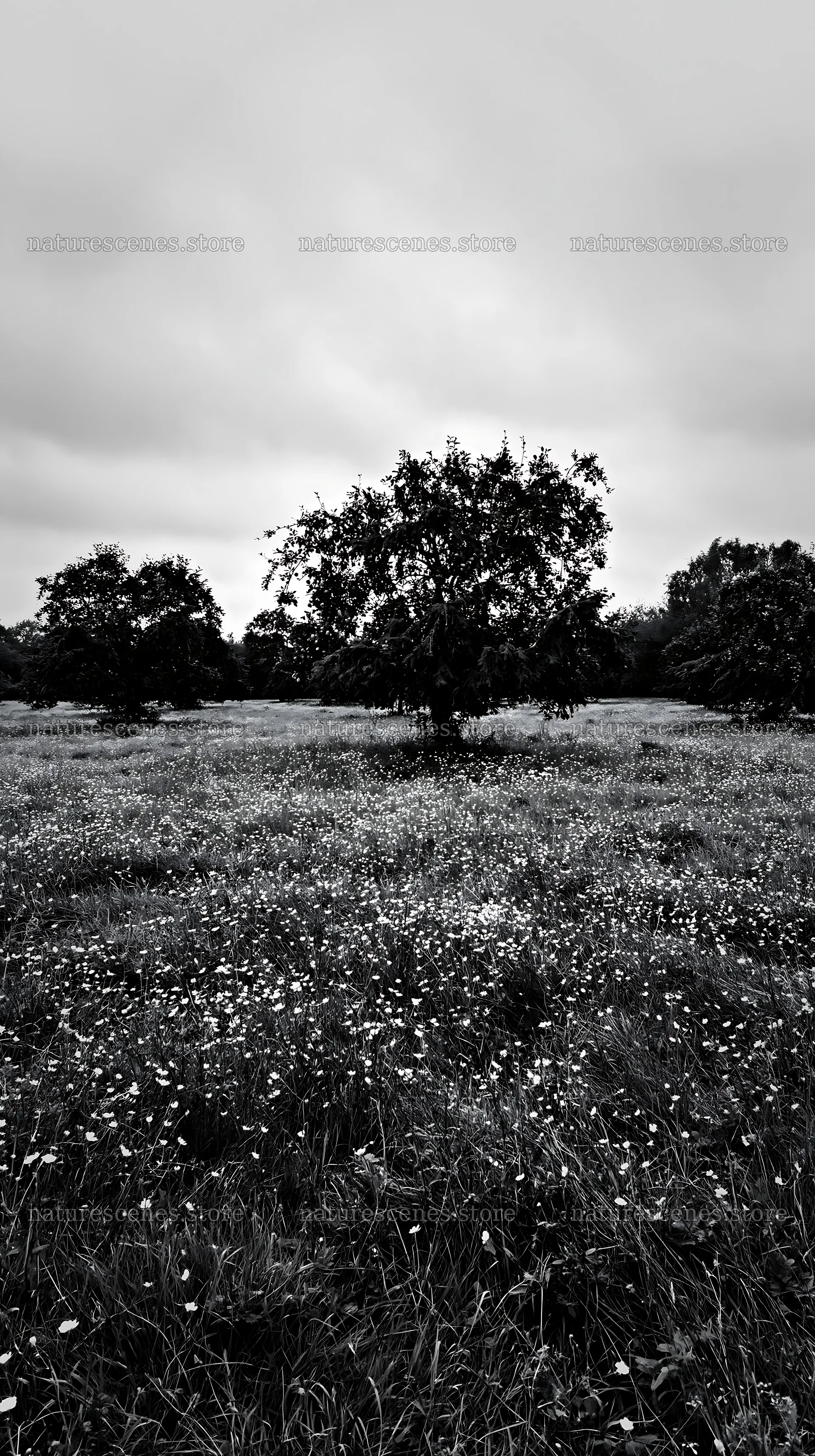 Christmas meadow with apple trees and garlands in conservation – nature scenes 5938x10608