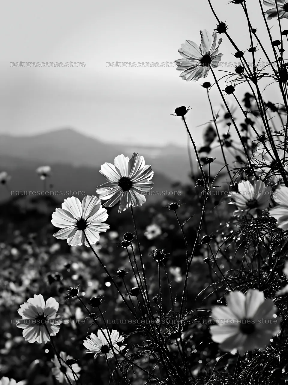 Shizuoka meadow filled with flowers after heavy rain – nature scenes 6866x9174