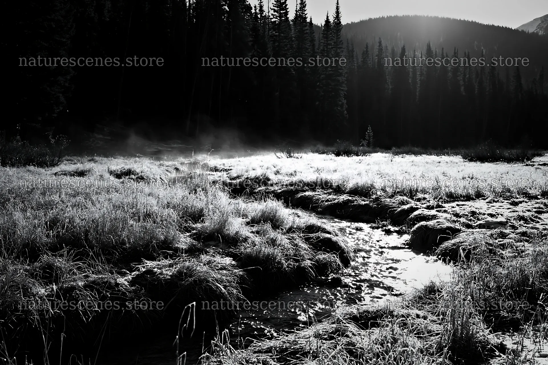 Snowy Rocky Mountain Park meadow with stream and tall trees – nature scenes 9722x6480