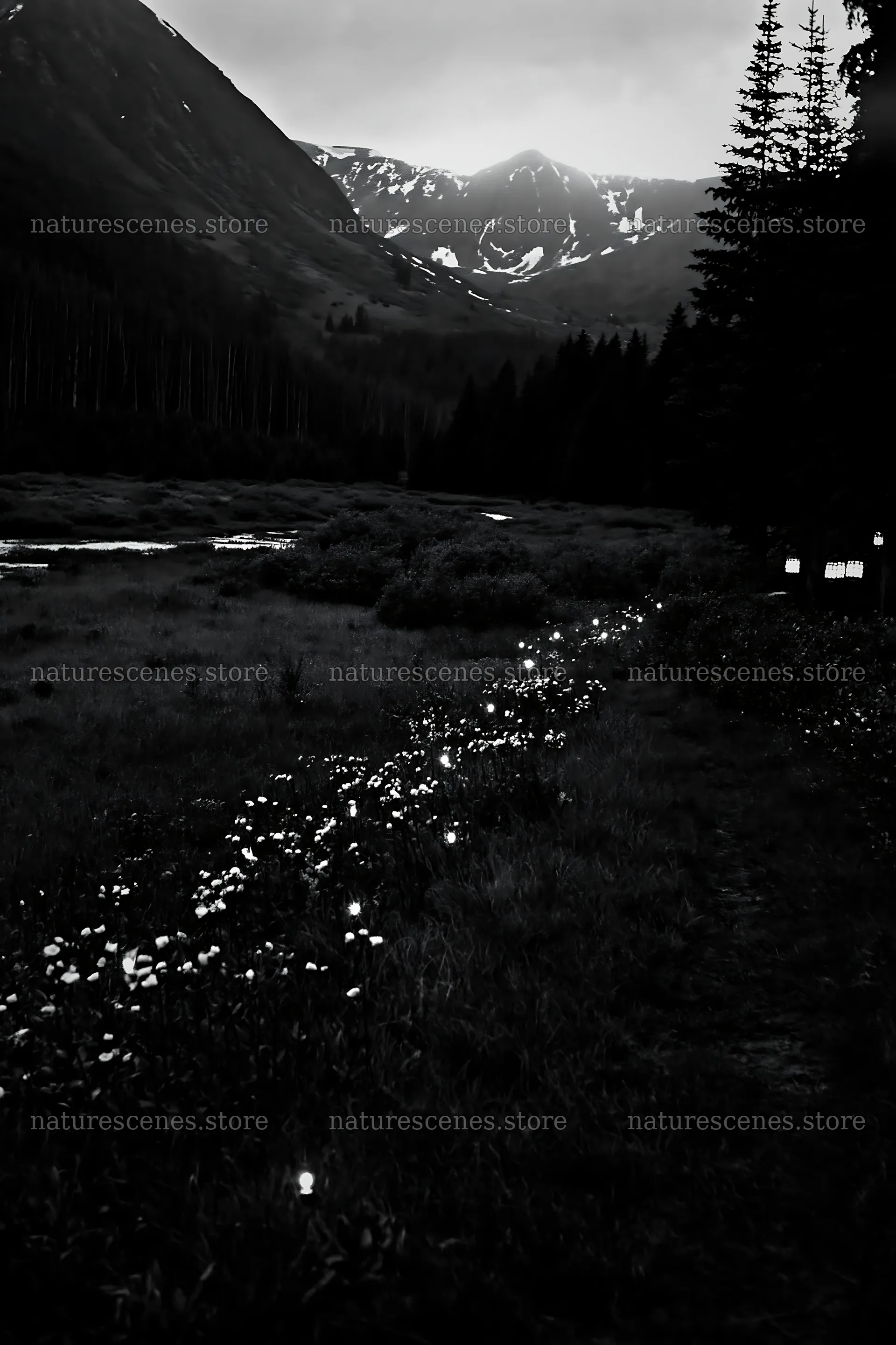 Christmas lights across mountain valley meadow – nature scenes 6480x9722